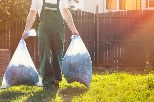 Best Basement Cleanout  in Jefferson City, TN